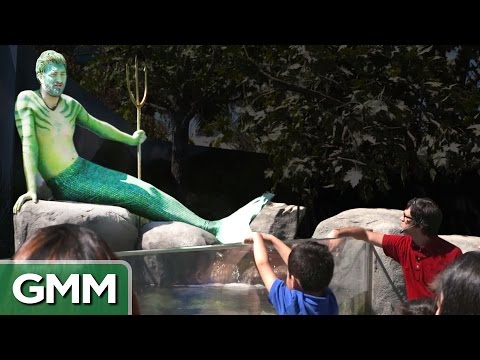 Real Life Merman Exhibit Video
