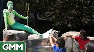 Real Life Merman Exhibit