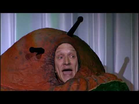 Cirkusrevyen 2008 - Sneglens Vise