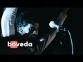 Señor Loop - El Mono & La Culebra | Desde el Lucernario
