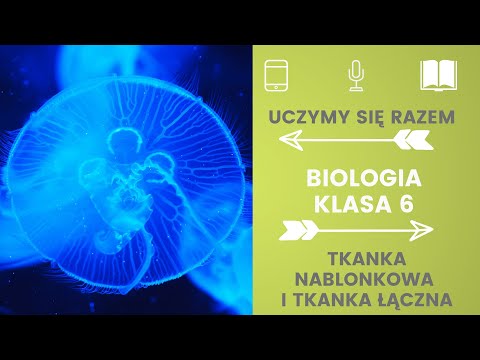 Biologia klasa 6. Tkanka nabłonkowa i łączna. Uczymy się razem
