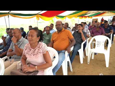 Description or Alt Text