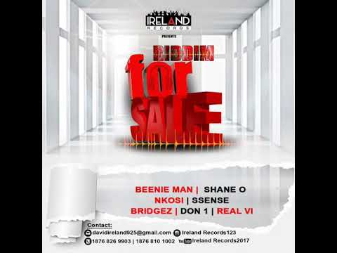 Another Day - BridgeZ - Ireland Records - For Sale Riddim (2018)