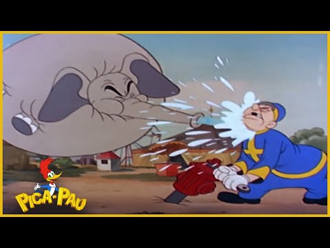 Capa de Pica-Pau em Português | O circo | Desenhos para crianças