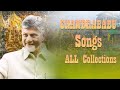 All Tdp Song Collection Chandrababu Naidu Nara Lokesh Tdp Songs NLB News