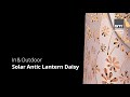 STT Lanterne Solar Antic Daisy, Ø 26 x 21 cm, rose sombre