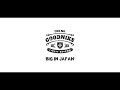 The Nogoodniks Big in Japan 
