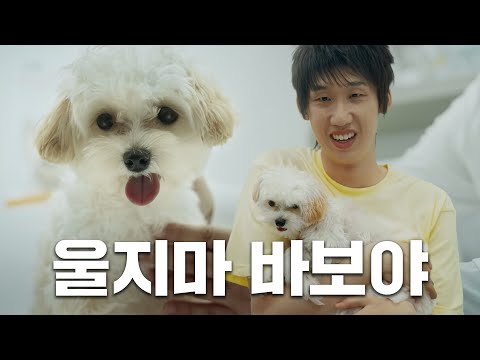 [Ep.12] 뽀삐 업고 튀어