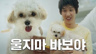 [Ep.12] 뽀삐 업고 튀어