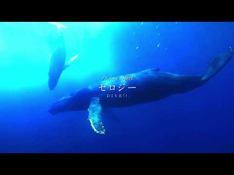 ぐらんぶる Video1