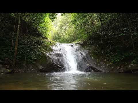 Infinite Tropical Waterfall in 4K – Looping Nature Escape | Calm Your Mind Relaxation