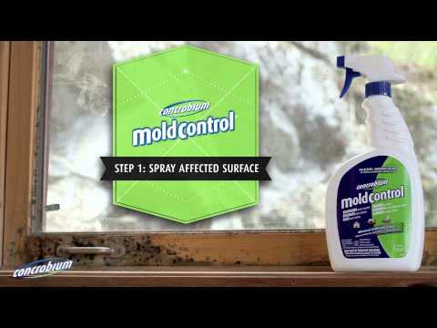 Concrobium Mold Control:  Indoor Mold Fighting Guide