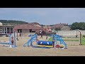 Melenski de Molion, Jument, 4 ans, Bai; SF, toise 1. 67