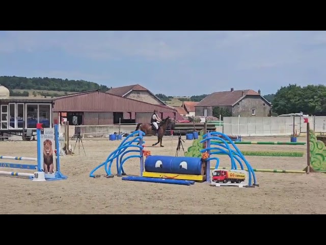 Melenski de Molion, Jument, 4 ans, Bai; SF, toise 1. 67