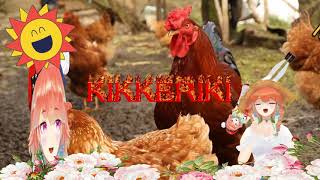 [Holo] Kiara早安你好長輩圖 這隻火雞壞掉了