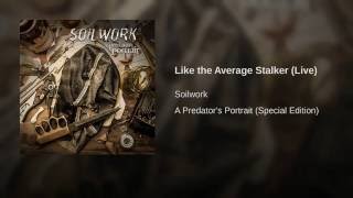 Like the Average Stalker (Live)