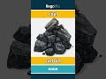 coal - carbón video thumbnail