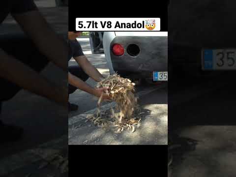 Thumbnail for Beyin Yakan V8 motorlu Anadol 💪💪💪 by Anadol