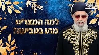 למה המצרים מתו בטביעה? | מרן רבינו עובדיה יוסף זצ''ל (מורשת מרן) - התמונה מוצגת ישירות מתוך אתר האינטרנט יוטיוב. זכויות היוצרים בתמונה שייכות ליוצרה. קישור קרדיט למקור התוכן נמצא בתוך דף הסרטון