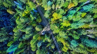 Mountain Biking down Mt. Spokane, WA