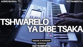 Download lagu Tshwarelo Ya Dibe Tsaka Instrumental mp3 Download lagu Tshwarelo Ya Dibe Tsaka Instrumental mp3
