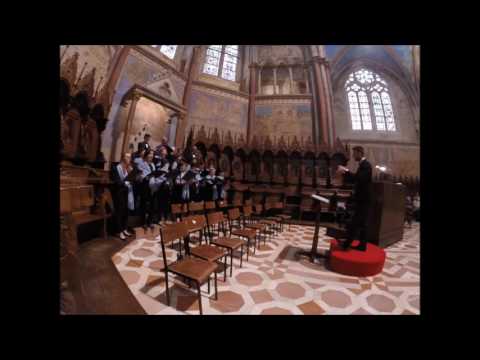 SEGNO DI UNITA' di A. Parisi e T. Ladisa