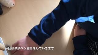平成最後のペン紹介【単頭ペン編】