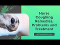 Horse Coughing Remedies, Problems and Treatment