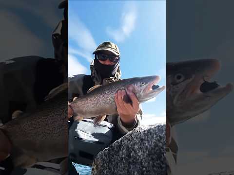 pesca en el embalse piedra del aguila