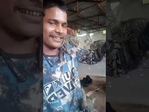 rajani ke billi #catshorts video #dijoo raja bihari