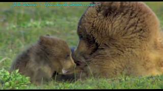 John Denver ~ You Say the Battle is over ~