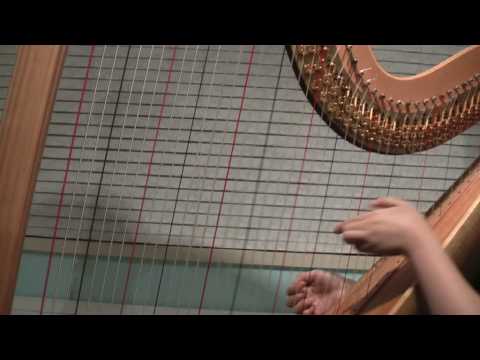 The Pedal Harp - Glissando