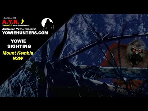 Yowie / Bigfoot Sighting (Audio Report #140) at Mount Kembla, New South Wales