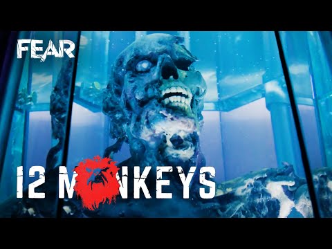 The Origin of a Virus | 12 Monkeys (TV Series)