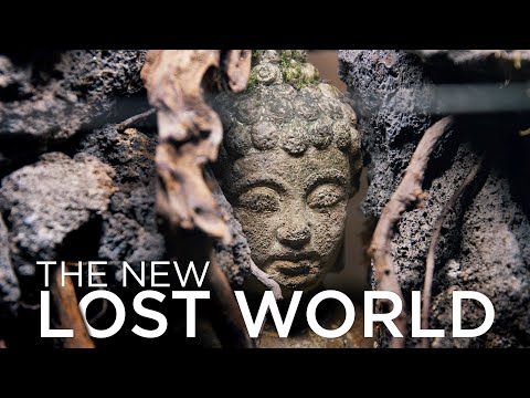 The new Lost World nano tank - New year, new aquascape