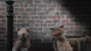 Animal Confessions Dog and Cat