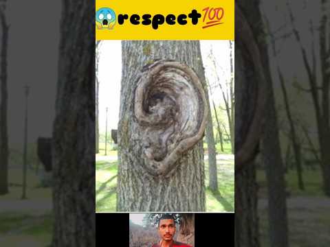 Respect 🥶💯😱🔥 #respect #shorts #youtubeshorts
