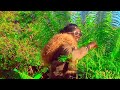 2023 Malaki Wamazaga Song Siamin Uploaded By Empaya