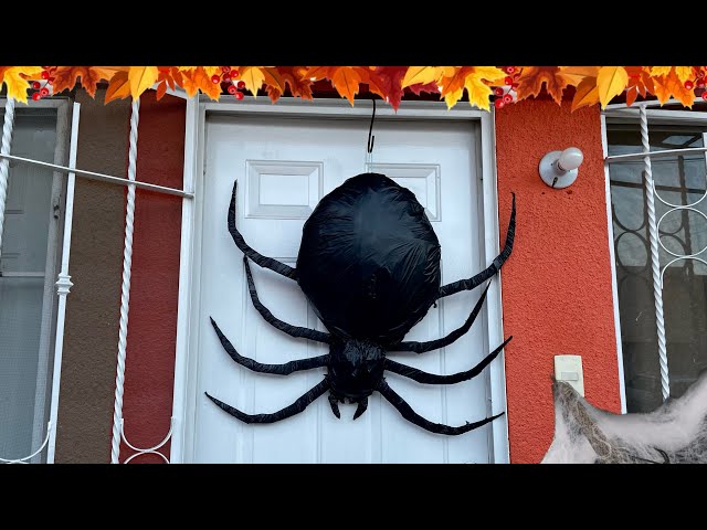 Vídeo relacionado con Decoración Halloween Exterior, Halloween Telaraña Gigante y 1 Araña Gigante 59 Pulgadas con 20 mini Arañas, Ganchos, Red Elástica y Estacas Para el Suelo Para Fiesta en el Jardín de Halloween