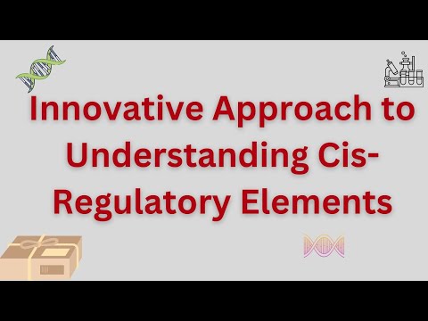 Cis Regulatory Elements: The Gene's On-Switch | Vibepedia