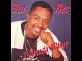 Sea Bee Thiba 1994 Waarwasjy