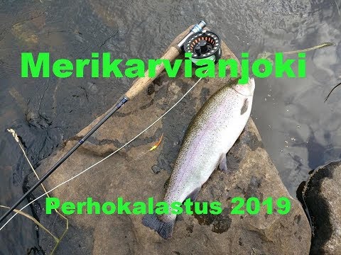 Merikarvianjoki 8/2019 | Perhokalastus 2019 | Kalastus 2019
