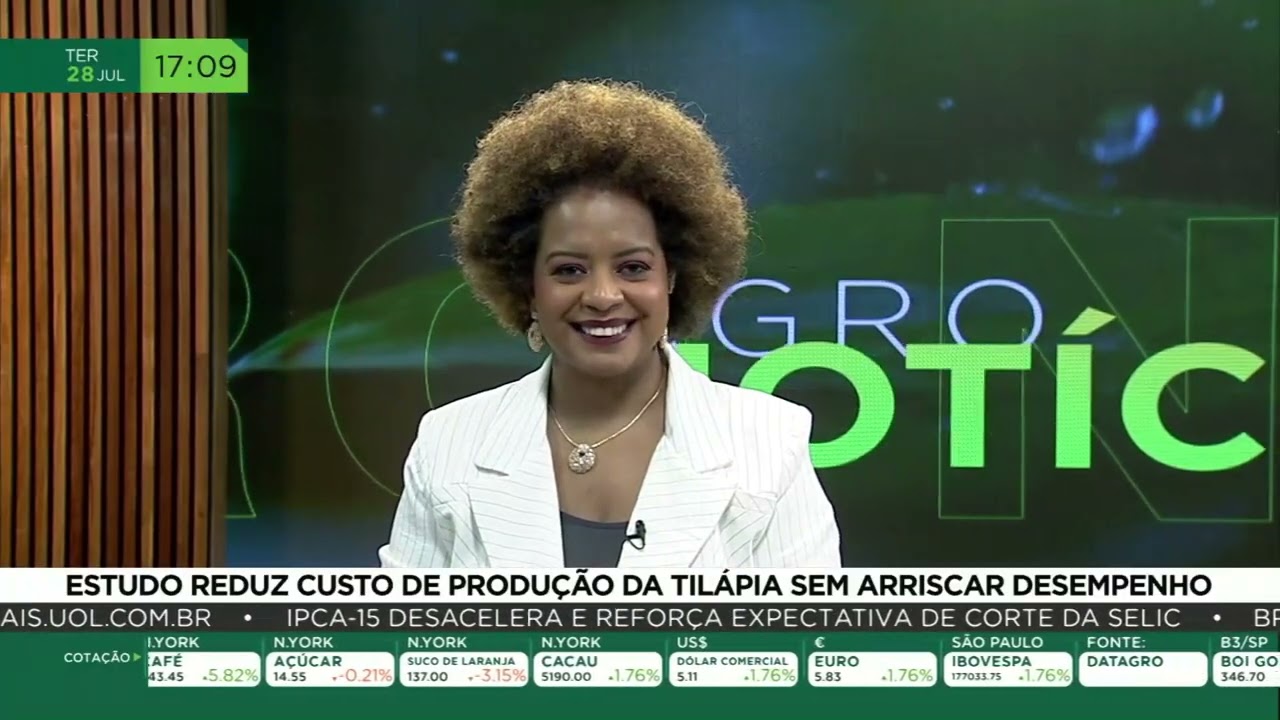 Estudo reduz custo de produção da tilápia sem arriscar desempenho