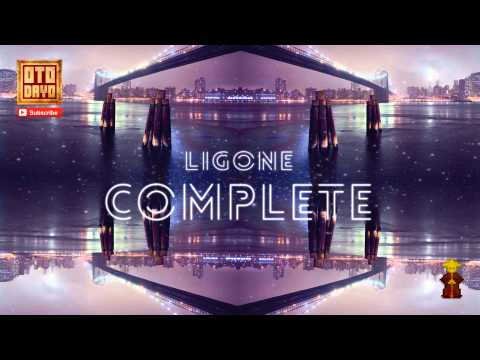LigOne - Complete [Otodayo Records]