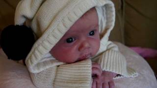 Hayley Rose - Little Sack of Sugar