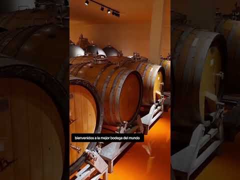 Conocemos la mejor bodega del mundo