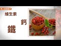 枸杞菊花茶護眼一級棒？女中醫：加這一味，養眼力大升級！