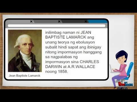 Pizza pagkain para sa pagbaba ng timbang recipe Mababang-taba lutong kalakal para sa slimming recipe multivarka