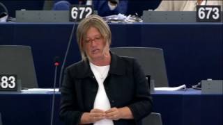 Felszólalás az Európai Határ- és Parti Őrségről szóló vitában – Strasbourg, 2016.07.05.