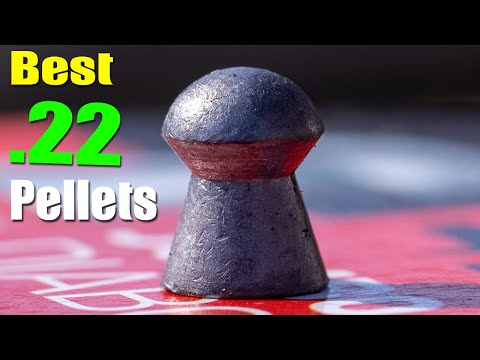 Top 7 Best  22 Pellets For Hunting 2022